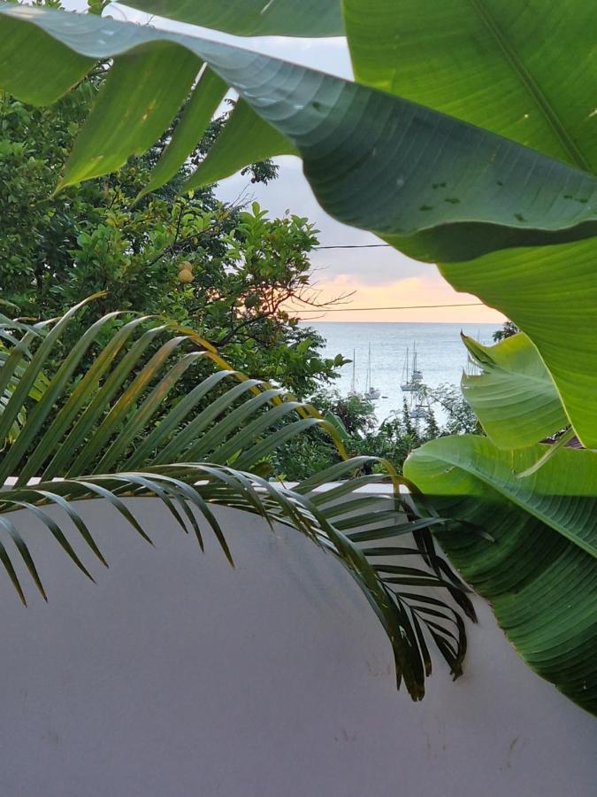 Villa Maloya Sainte-Anne Ngoại thất bức ảnh